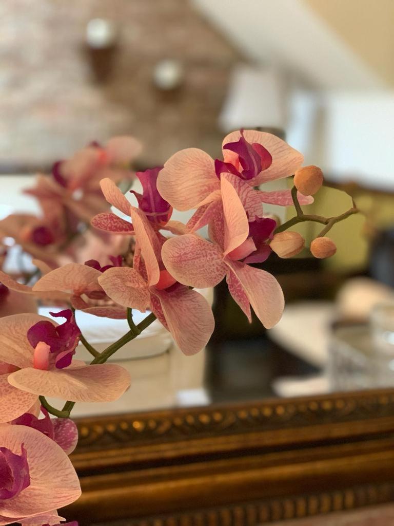 Hostal Villa Toscana Gwatemala Zewnętrze zdjęcie
